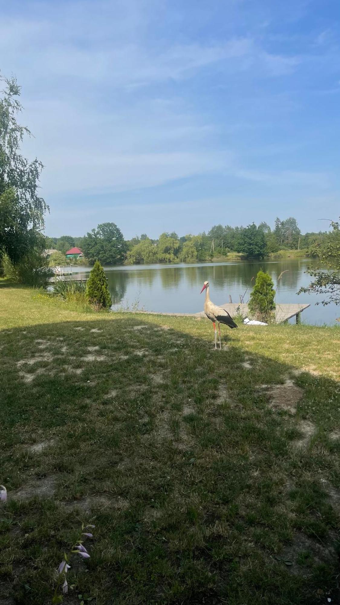 Перлина Буковини Lipovans Exterior photo